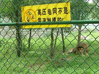 養(yǎng)殖護(hù)欄網(wǎng)